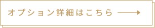 オプション詳細はこちら